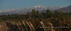 MOUNTAINS AND WINERY