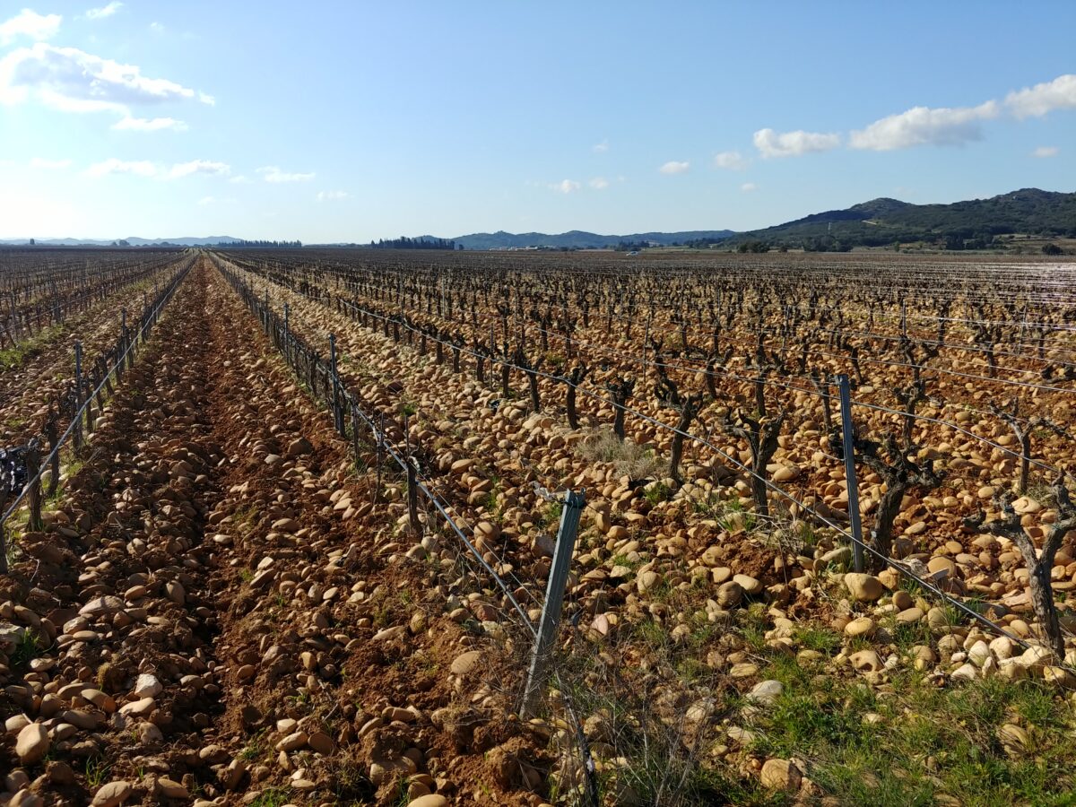 Lirac – Stylish Wines from the Rhône Valley’s Right Bank - The ...