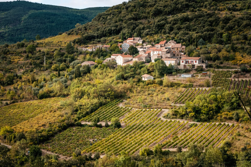 Saint-Chinian (Vins du Languedoc)