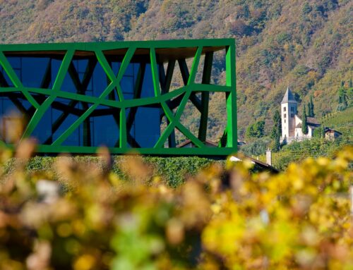 In South Tyrol Cantina Tramin Produces Wines of Community and Soul