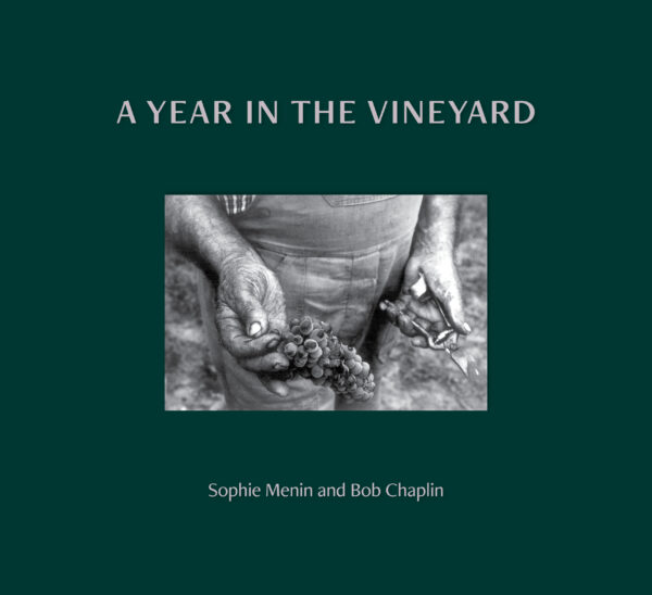 A Year in the Vineyard