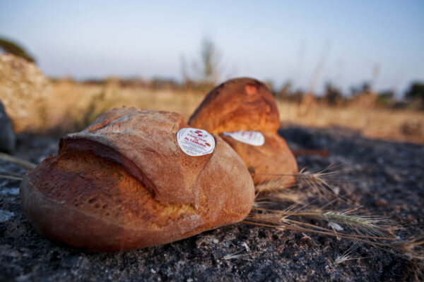 Pane de Altamura DOP By Nikotota - Own work, CC BY-SA 4.0