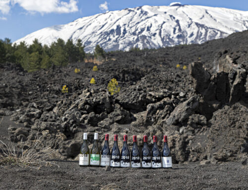 A Visit to Vini Franchetti, Passopisciaro