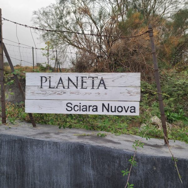 Planeta's Sciara Nuova vineyards in Etna