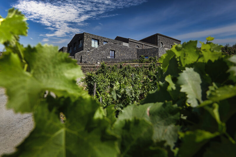 Palmento Costanzo- A view from the vineyards. Photo provided by Palmento Costanzo