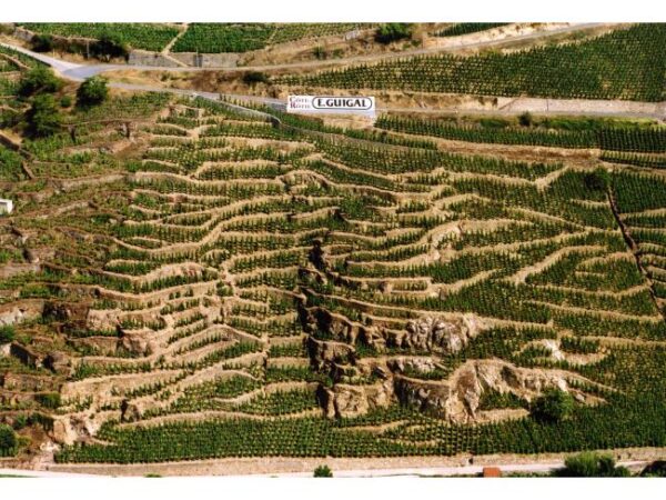 The vineyards of La Mouline in the Cote-Rotie