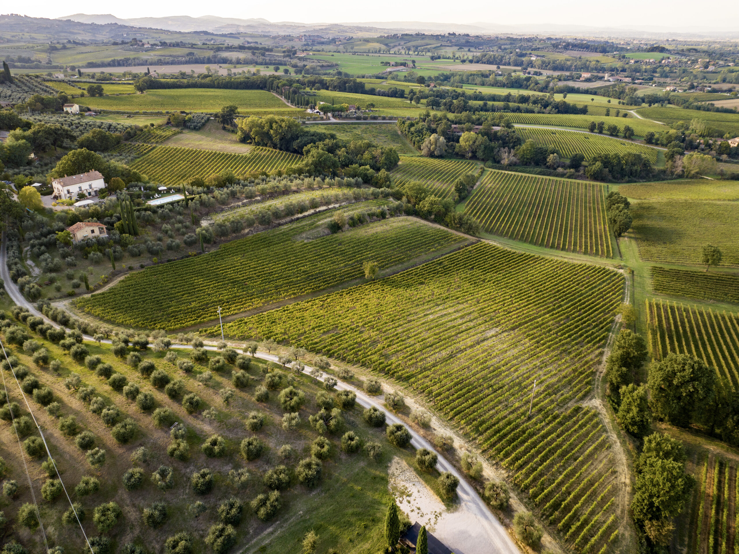 Aerial of Poderi Boscarelli