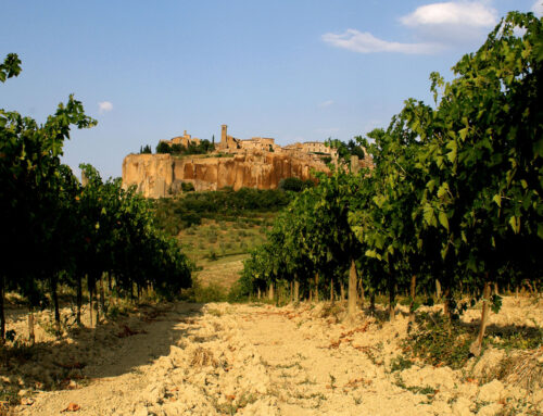Orvieto-  Historic Wine of the Popes- A Wine for Today