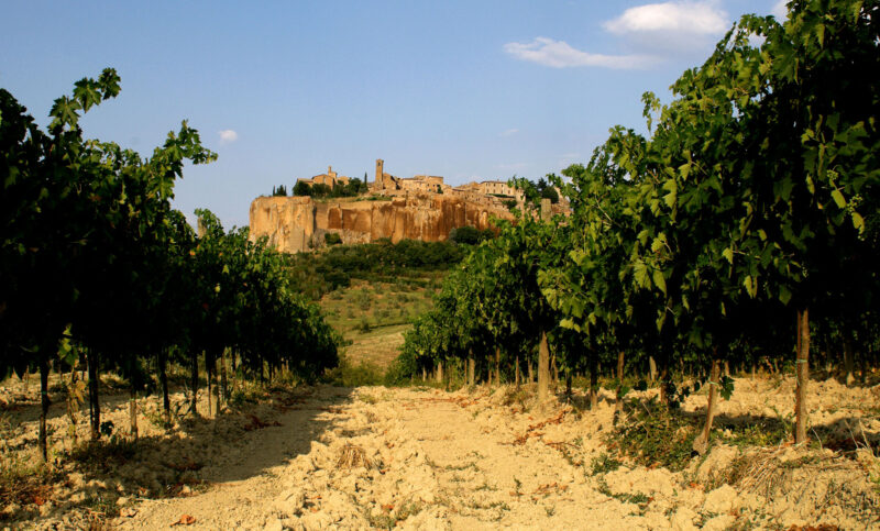 Vineyards with Orvieto in the distance. The city rests atop an outcropping of tufa and volcanic stone. Photo provided by the Consortium for Orvieto Wine.