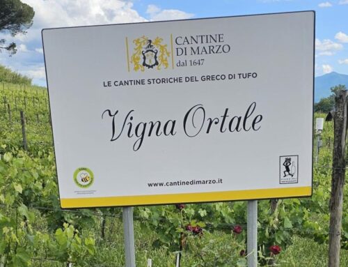 Visiting The Birthplace of Greco di Tufo- Cantine di Marzo