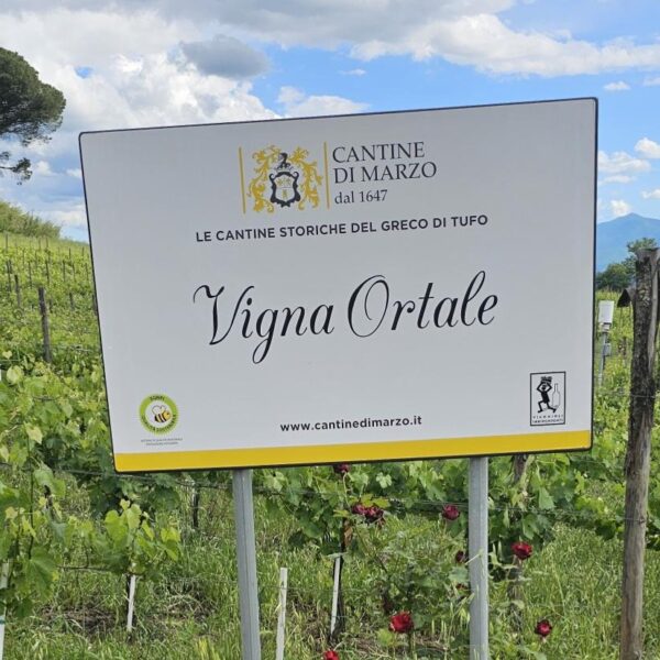 Vigna Ortale
