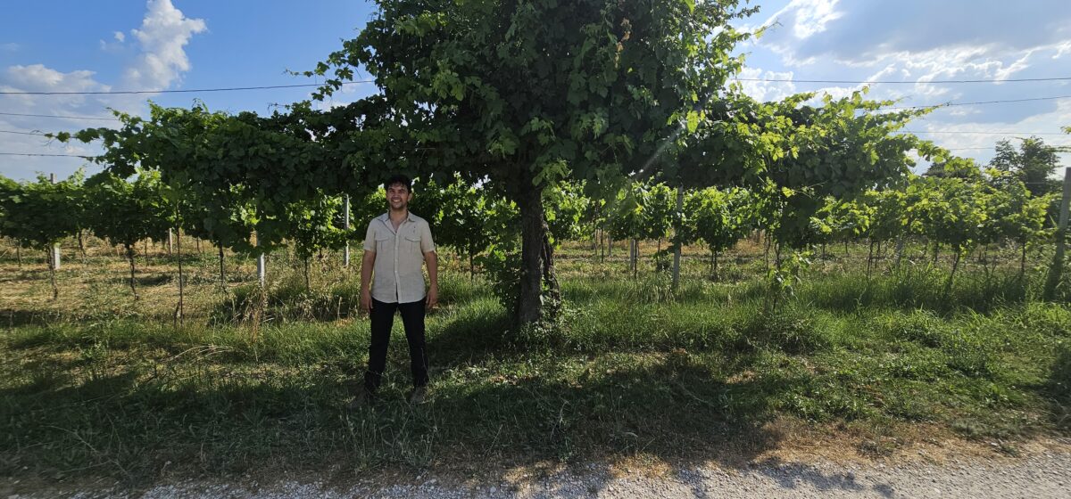 Fabio Conti stands in front of a tree with married vines Photo: Melanie Young