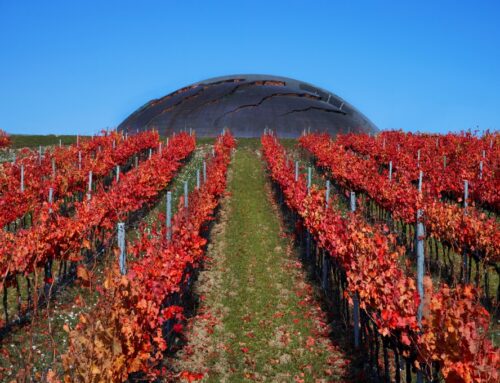 A Tour of Montefalco Wineries & Strada Del Sagrantino