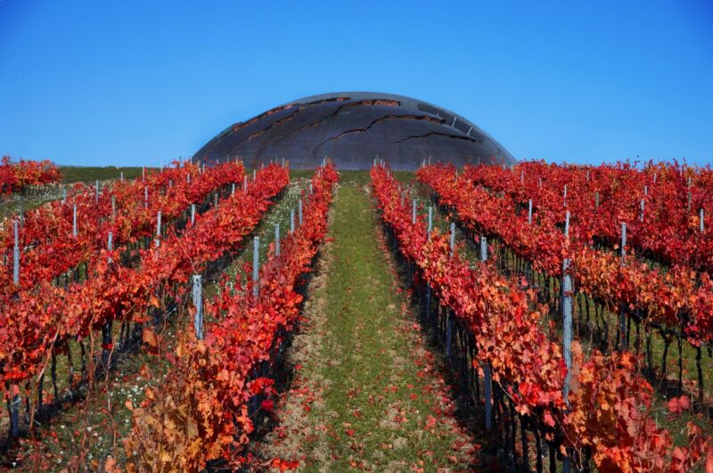 Carapace- photo provided by Tenuta Lunelli