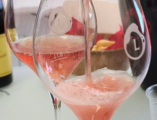 Lambrusco: One Wine, Many Styles – Fizzy, fresh, low alcohol and versatile