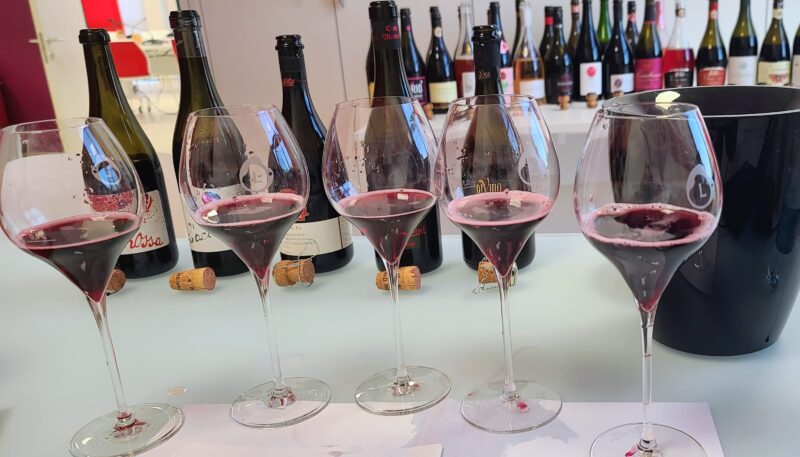 A tasting flight of Lambrusco di Grasparossa