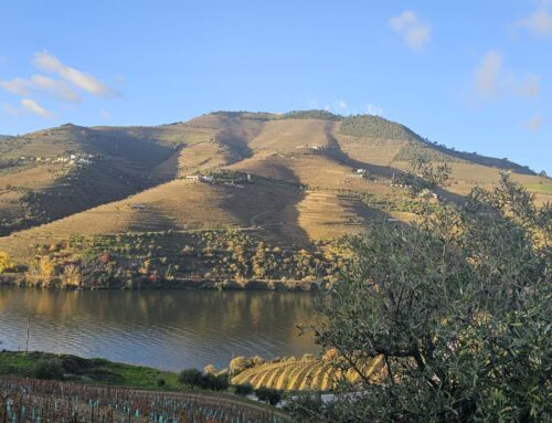 Destination: Portugal’s Douro River Valley