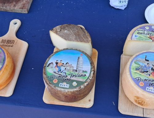  Tuscany’s Caseificio Busti 70 Years Making Pecorino Cheese
