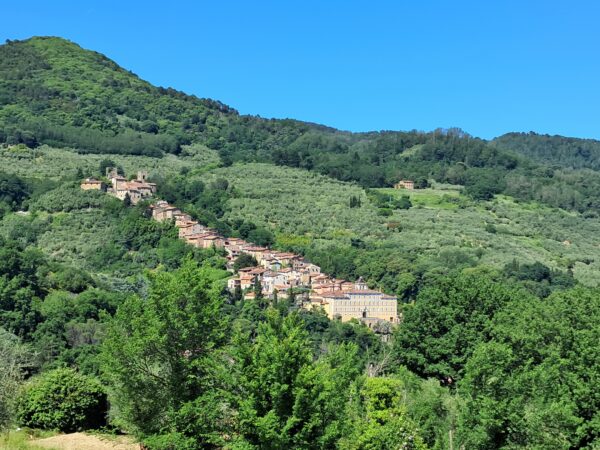 View of Collodi