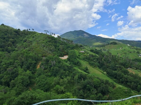 The road to Azienda Agricola Podere Scurtarola.
