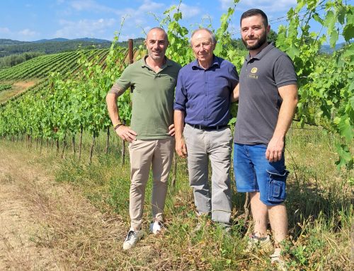 Tuscany’s Monteregio Di Massa di Marittima DOC -A Tiny Gem
