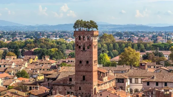 The Guinigi Tower in Lucca
