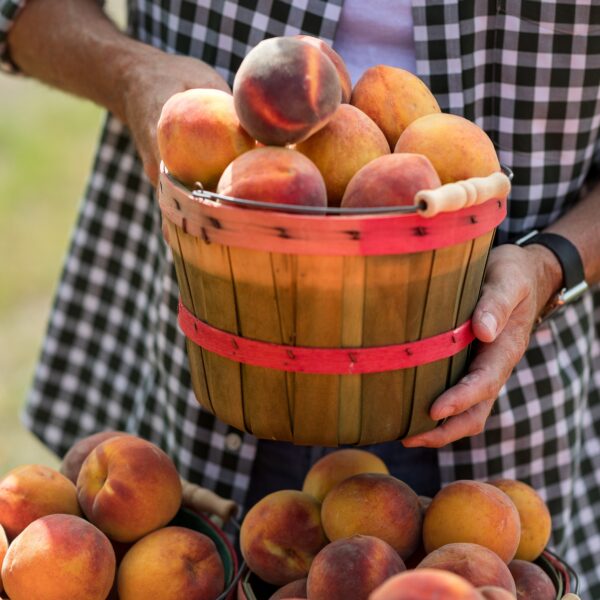 Sweet, juicy Hill Country peaches. Photo: Visit Fredericksburg