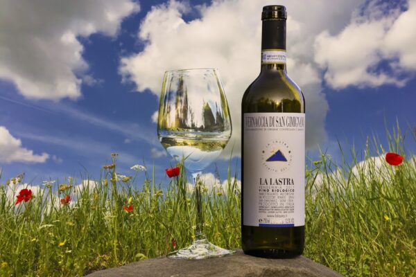 Photo: La Lastra winery