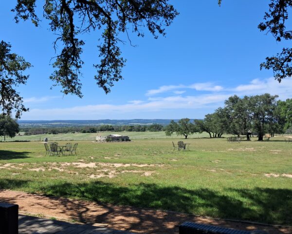 View at Pedernales Cellars
