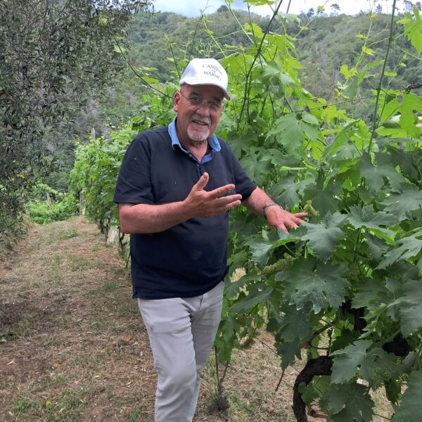 Pier Paolo Lorieri in his vineyards