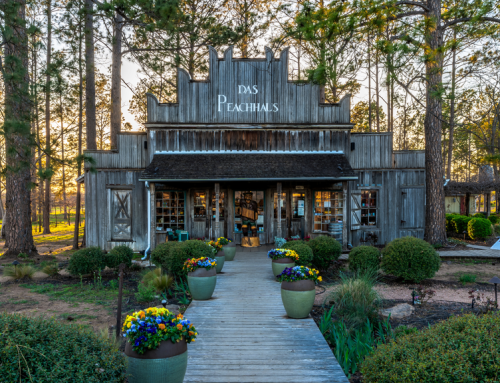 From a Peach Orchard to Award-Winning Specialty Foods