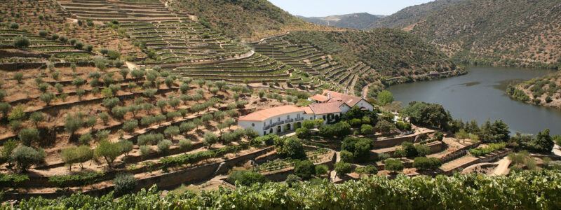 Taylor Fladgate's historic Quinta de Vargellas in the Douro Valley